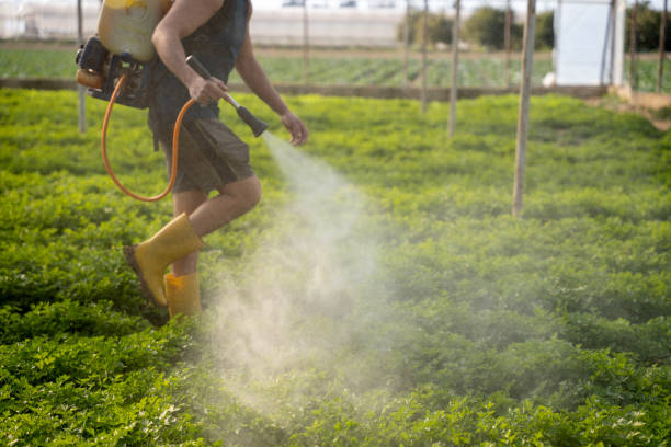  Old River Winfree, TX Pest Control Pros