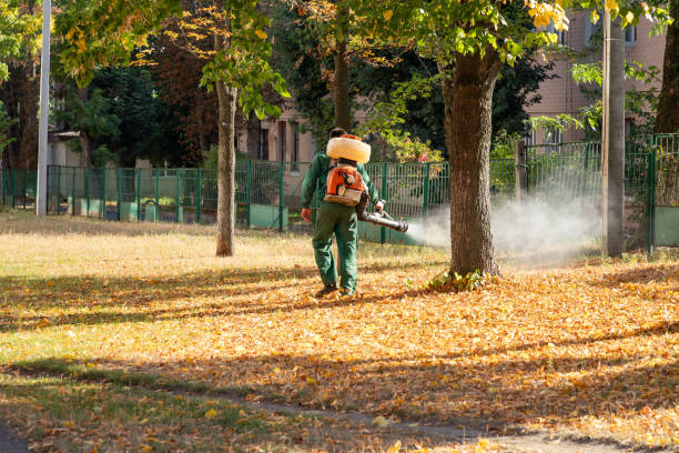 Best Residential Pest Control  in Old River Winfree, TX